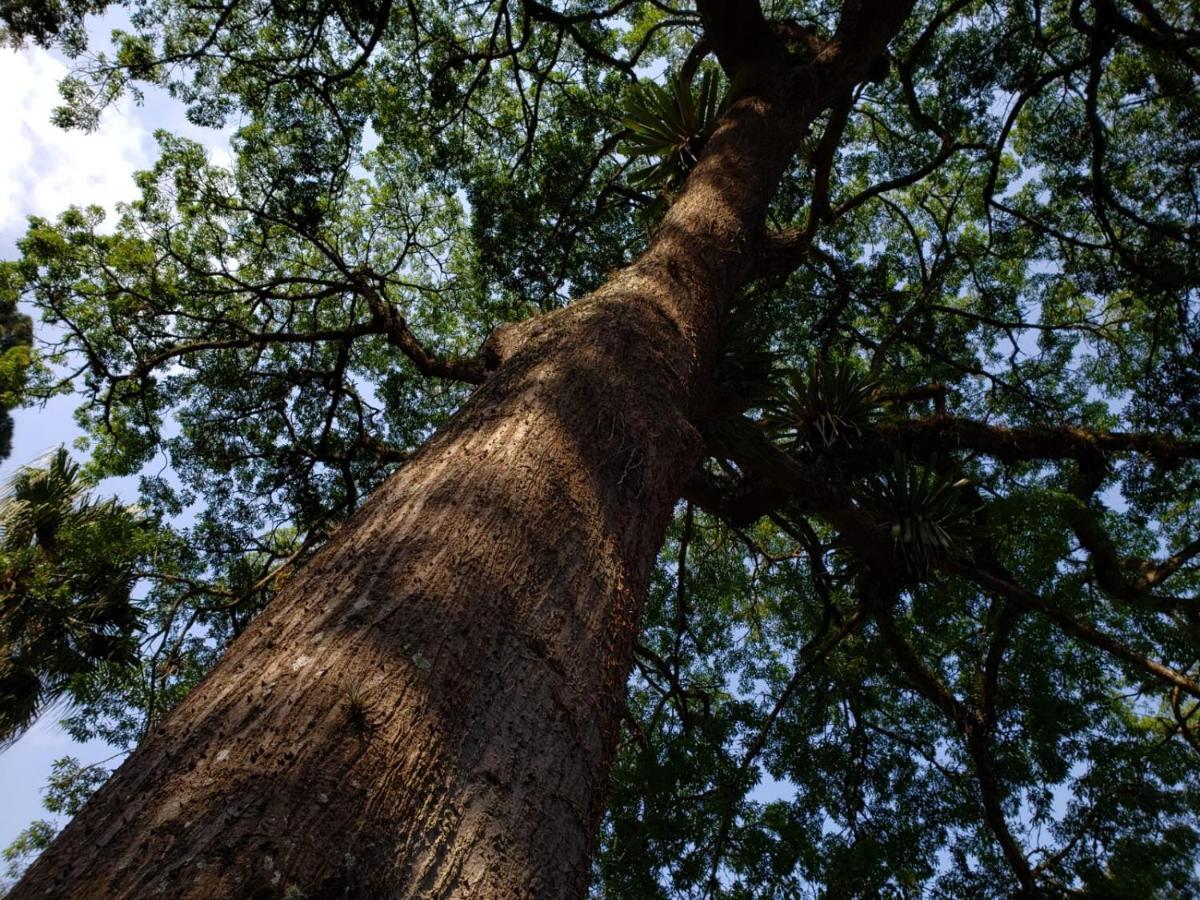 Willa Casa Fazenda Inglesa - Anexo Petrópolis Zewnętrze zdjęcie